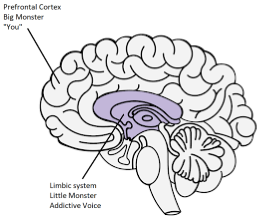 The ‘two brain' model of addiction.